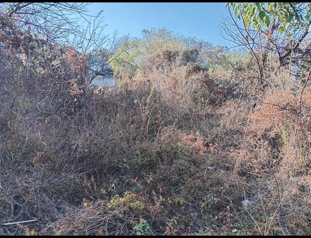 LAND FOR SALE IN VAALOEWER